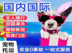 西郊空运国际宠物托运 【国